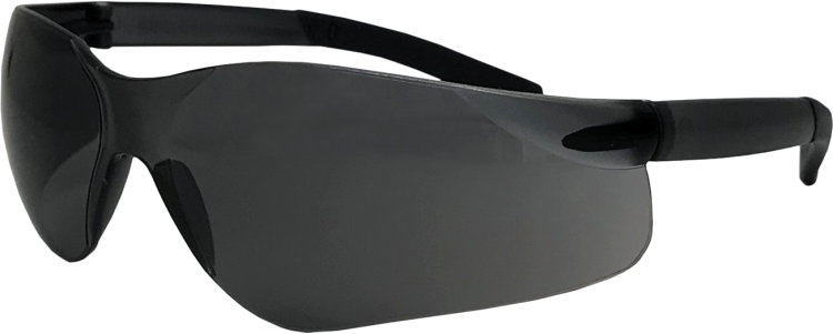 Okulary ochronne REIS OO-GEORGIA-S